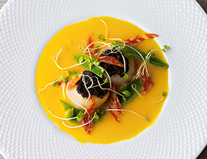 スペシャルコース 